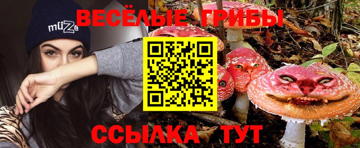 Белорецк  Галлюциногенные грибы мухоморы  Вход с VPN 